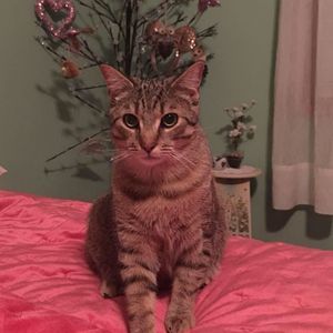 Meet your Posher, Heidi